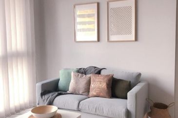 Cyperus @ Tropicana Gardens