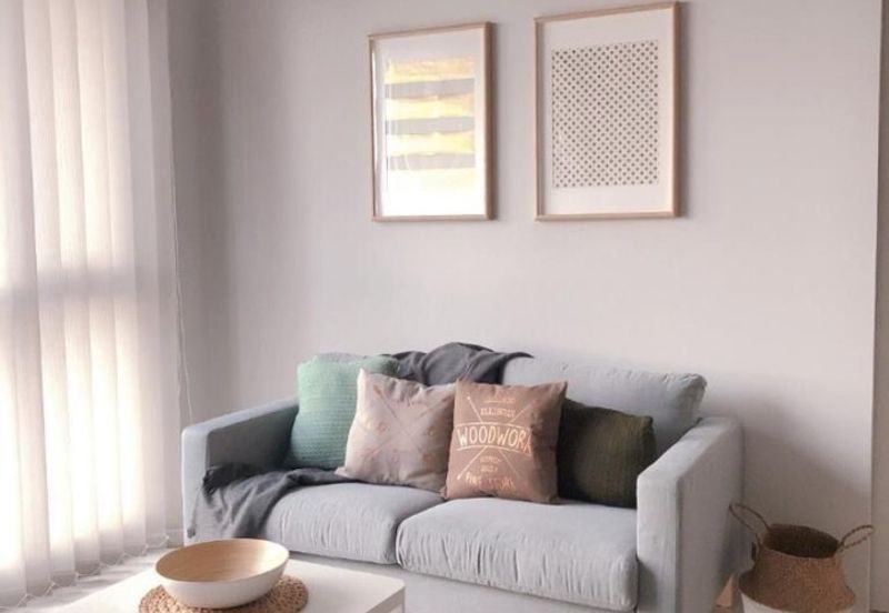 Cyperus @ Tropicana Gardens