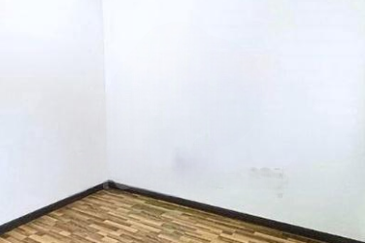 Halya @ Daunan Worldwide