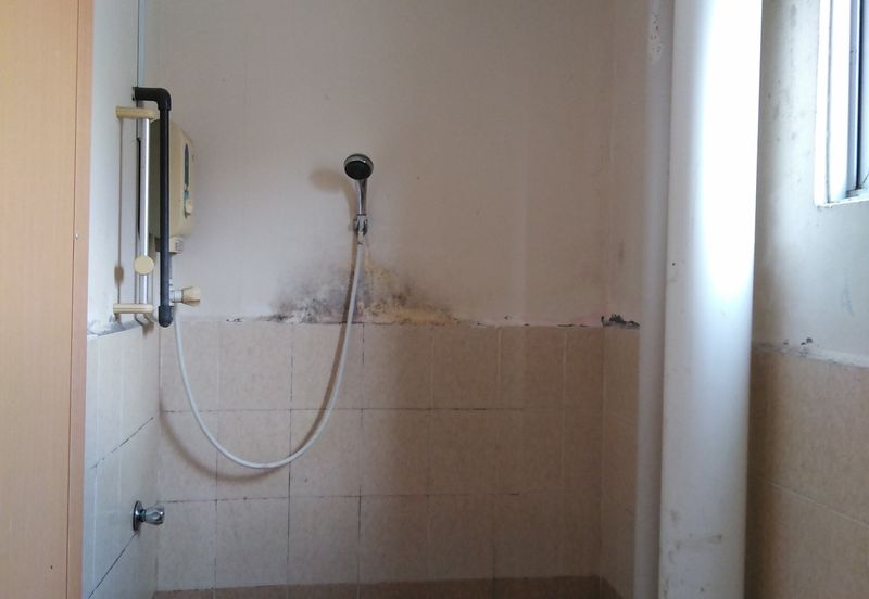 Relau Vista Apartment