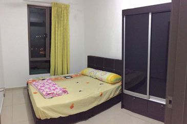 Tree Sparina @ Ideal Vision Park