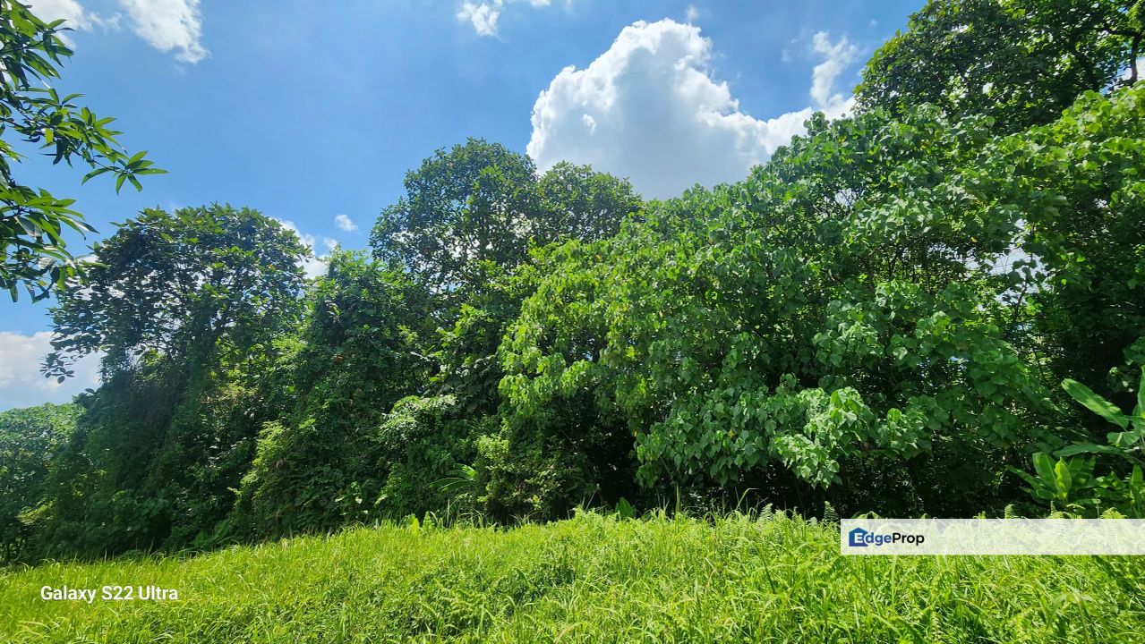 Seputeh Land for Sale : Freehold & Residence Zoning, Kuala Lumpur, Seputeh