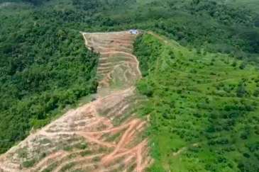 Sega, Pahang Land for Sale