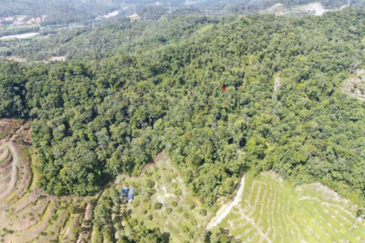 For Sale: Agricultural Land @ Bentong