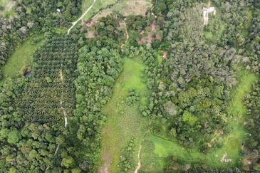 Kampung Sungai Pening