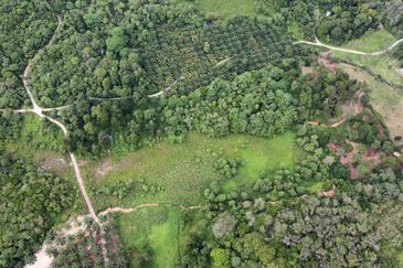 Kampung Sungai Pening