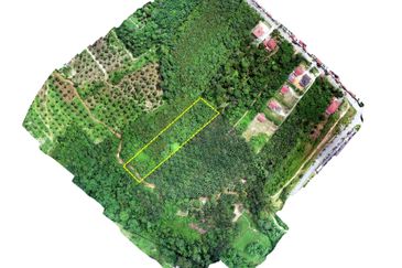 [Freehold] 2 Ekar Tanah Pertanian Zoning Perumahan Untuk Dijual @ Nilai Perdana For Sales