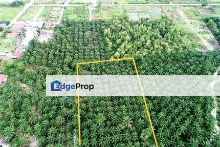 Tanah Sawit 2 Ekar @ Bukit Changgang, Banting Untuk Dijual, Selangor, Kuala Langat