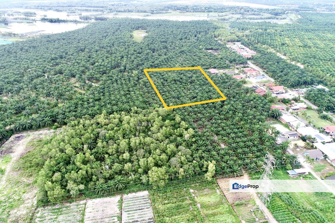 Tanah Sawit 2 Ekar @ Bukit Changgang, Banting Untuk Dijual, Selangor, Kuala Langat