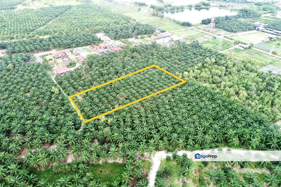 Tanah Sawit 2 Ekar @ Bukit Changgang, Banting Untuk Dijual, Selangor, Kuala Langat