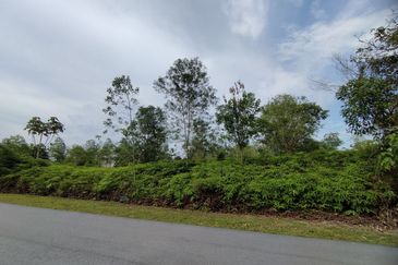 College Heights Garden Resort