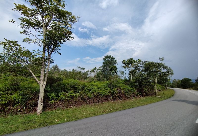 College Heights Garden Resort