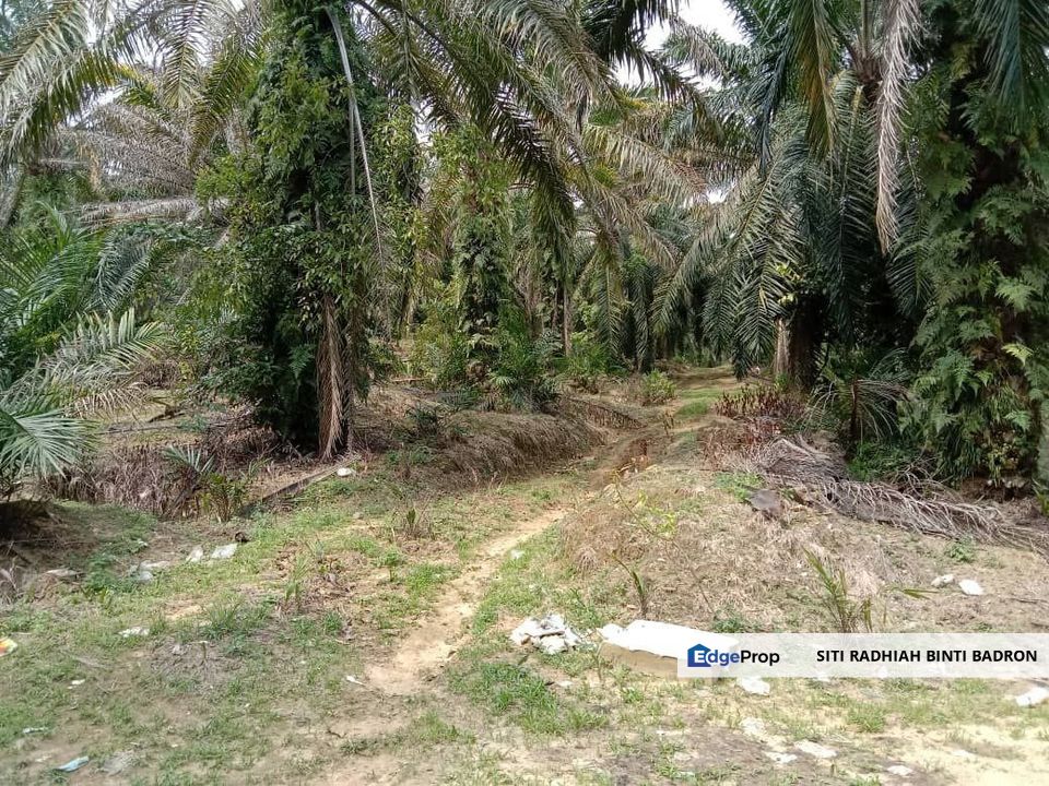 7 acre zoning residential near Pekan Salak, Selangor, Sepang