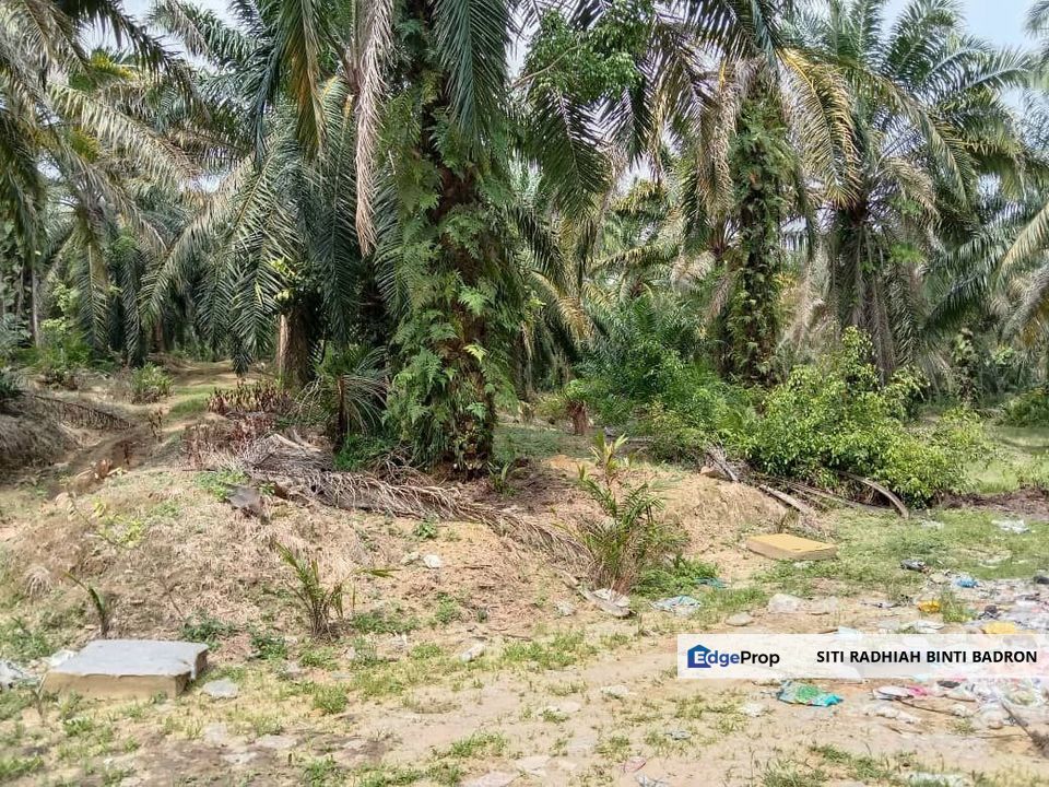 7 acre zoning residential near Pekan Salak, Selangor, Sepang