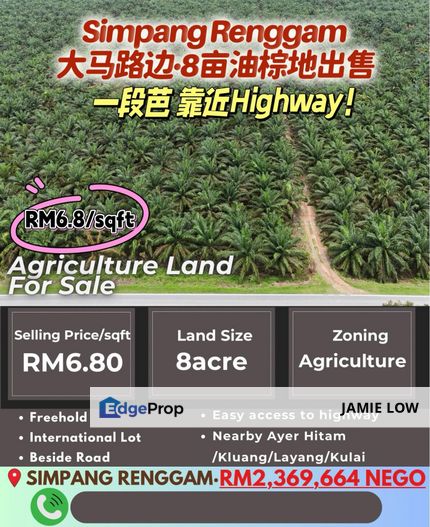 Palm Oil Land, Johor, Kluang