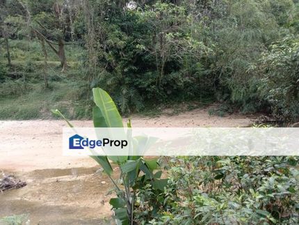 DUSUN BUAH BUAHAN 4 EKAR FREEHOLD ADA SUNGAI CANTIK DI SG BUAH DENGKIL , Selangor, Sepang