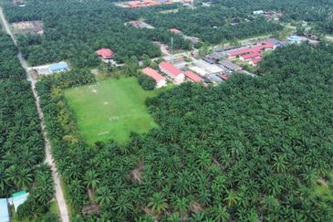 Sungai Sedu @ Tanjung Dua Belas