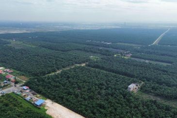 Sungai Sedu @ Tanjung Dua Belas