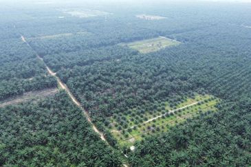 Sungai Sedu @ Tanjung Dua Belas