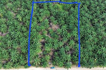 Sungai Sedu @ Tanjung Dua Belas