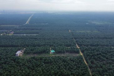 Sungai Sedu @ Tanjung Dua Belas