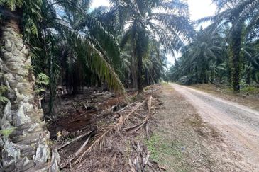 Sungai Sedu @ Tanjung Dua Belas
