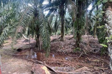 Sungai Sedu @ Tanjung Dua Belas