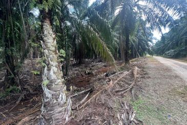 Sungai Sedu @ Tanjung Dua Belas