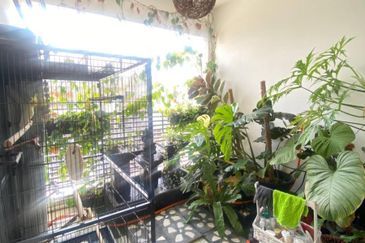 Sierra 1, Odora Parkhomes