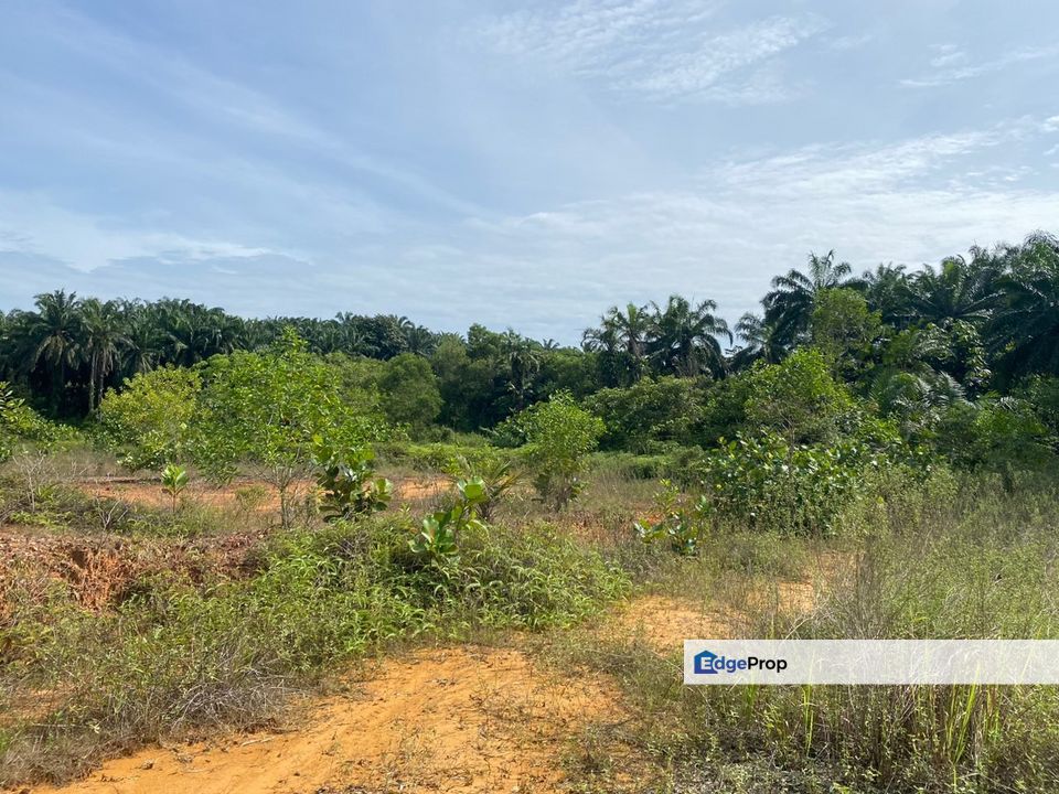 Tanah Banglo Lot Bukit Damar Dengkil sebelah Cyberjaya & sebelah Cybersouth, Selangor, Dengkil