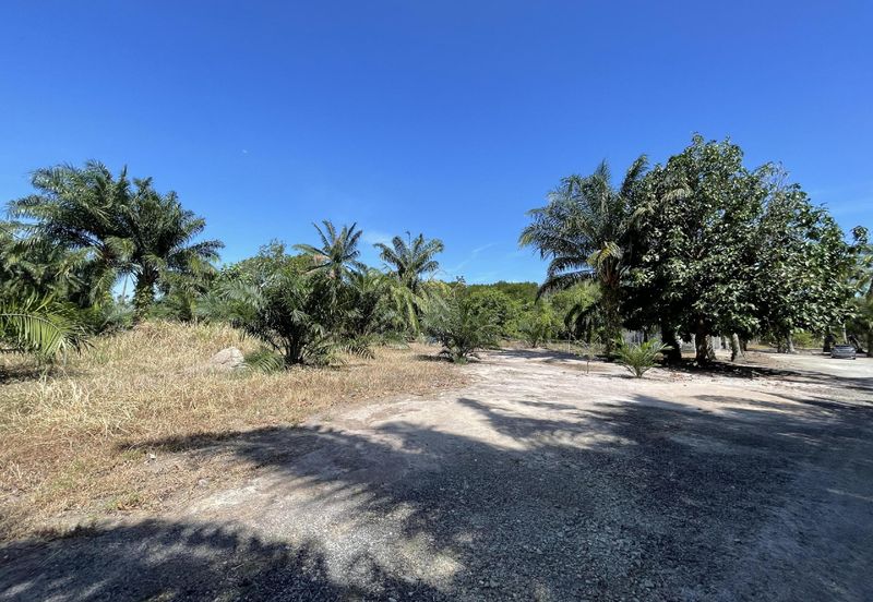 Tanah Tepi Pantai Batu Laut Freehold Non Bumi Lot