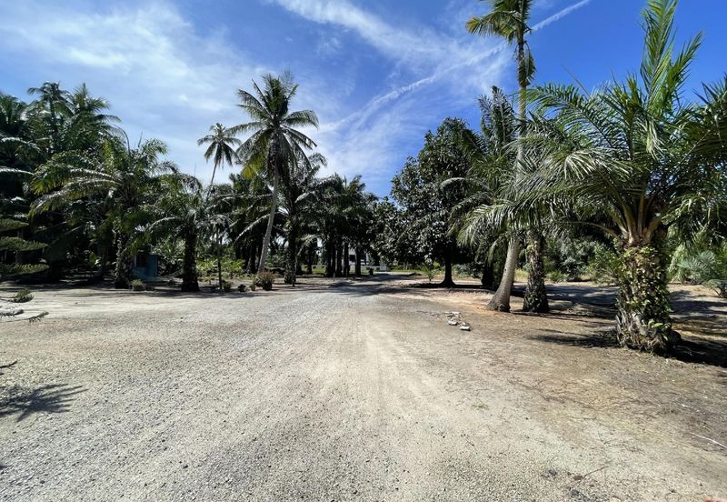 Tanah Tepi Pantai Batu Laut Freehold Non Bumi Lot
