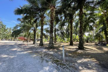 Tanah Tepi Pantai Batu Laut Freehold Non Bumi Lot