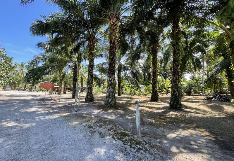 Tanah Tepi Pantai Batu Laut Freehold Non Bumi Lot