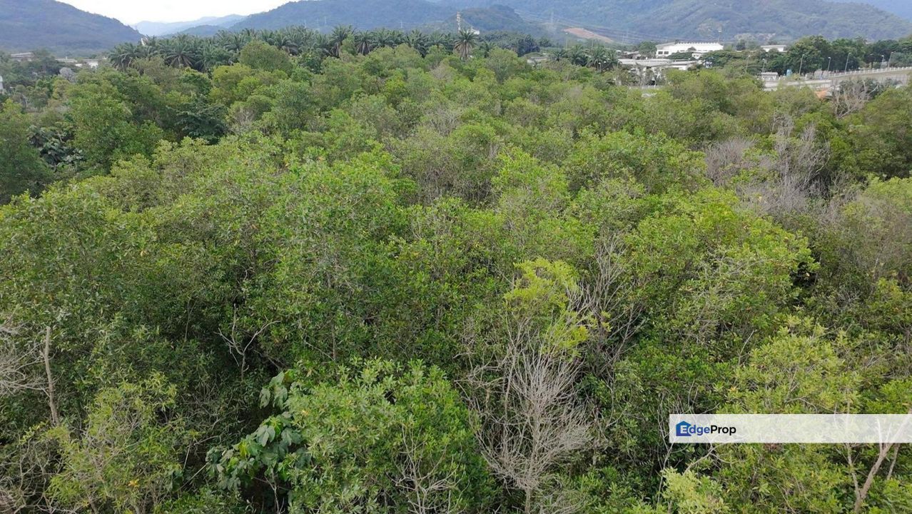 Premium Land Jalan Broga Semenyih For Sale, Selangor, Semenyih