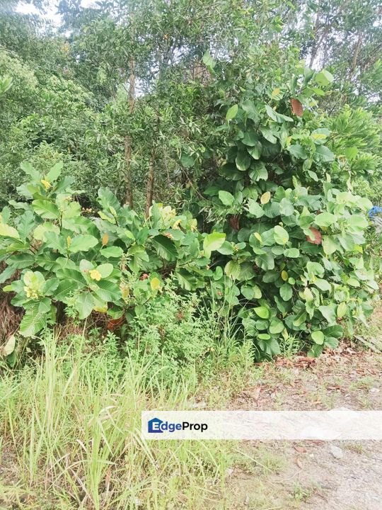 [FREEHOLD MALAY RESERVED] TANAH SG MERAB 4.46 EKAR UNTUK DIJUAL, Selangor, Bangi