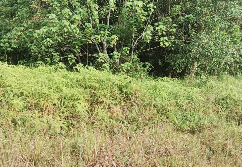 Kampung Sungai Merab Tengah