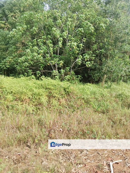 [FREEHOLD MALAY RESERVED] TANAH SG MERAB 4.46 EKAR UNTUK DIJUAL, Selangor, Bangi