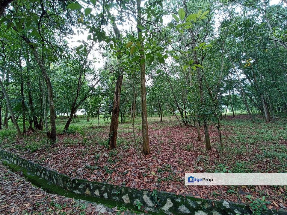 Bungalow Land For Sale @ Putra Crest, Putra Heights, Selangor, Subang Jaya