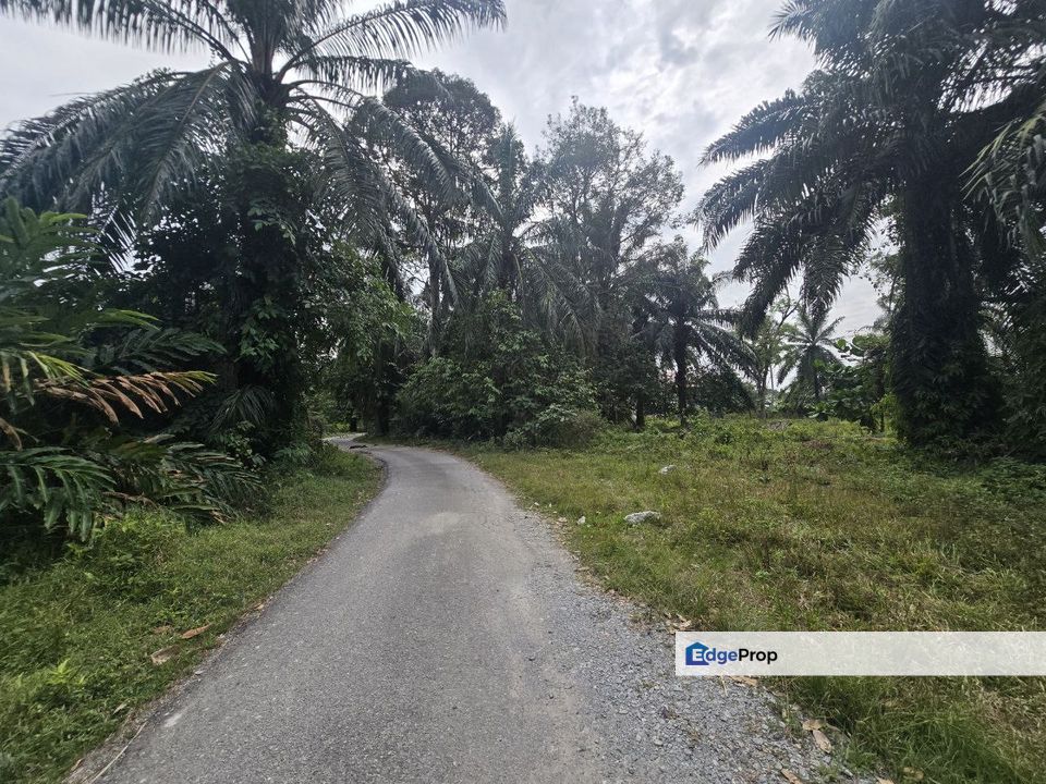 1st Layer From Main Road, Agricultural Land @ Sungai Rambai Jenjarom , Selangor, Banting