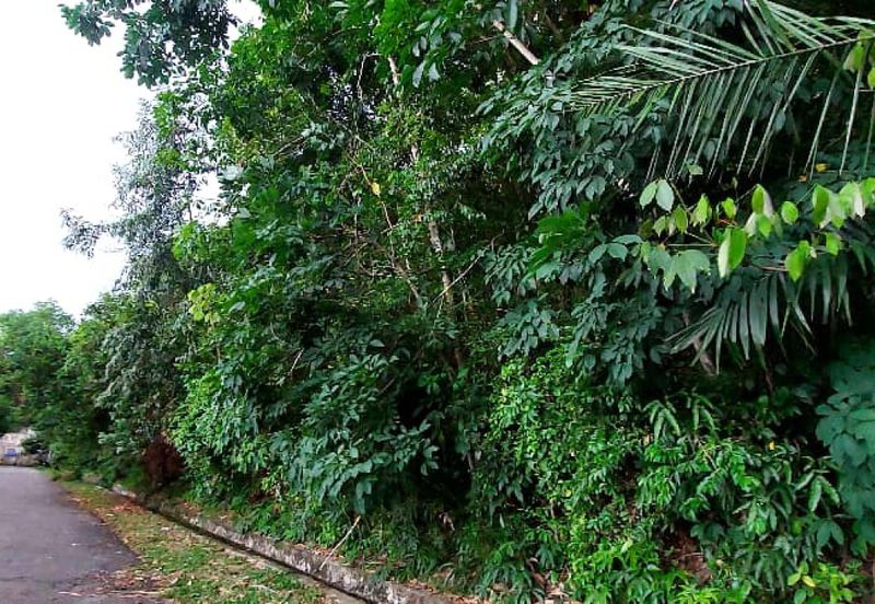 Desa Salak Akasia, Sepang