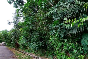 Desa Salak Akasia, Sepang