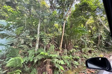 Kampung Sungai Kertas