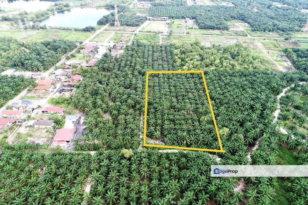 MURAH Tanah 2 Ekar , Zoning Kediaman , Bukit Changgang Banting, Selangor, Kuala Langat