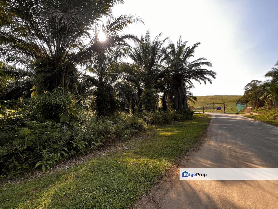 Murah.. Tanah Zoning Kediaman di Bandar Baru Salak Tinggi Sepang, Selangor, Sepang