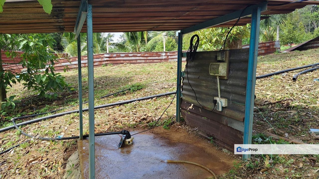 Dusun  Durian Serba Lengkap , Siap untuk Tuai Hasil di Segamat Johor, Johor, Segamat