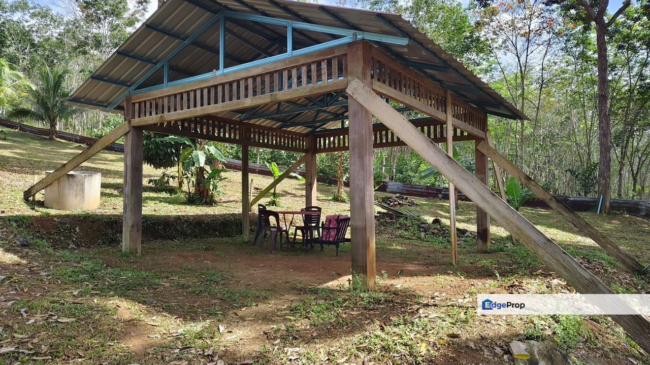 Dusun  Durian Serba Lengkap , Siap untuk Tuai Hasil di Segamat Johor, Johor, Segamat