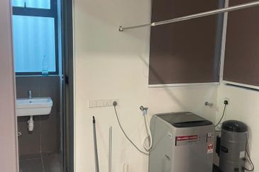 The Light Collection IV