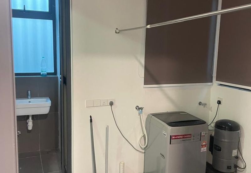 The Light Collection IV