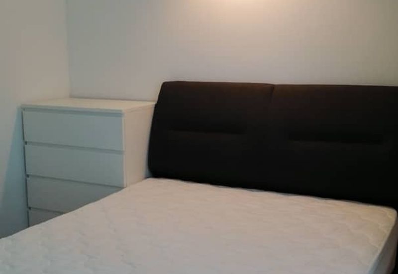 The Light Collection III